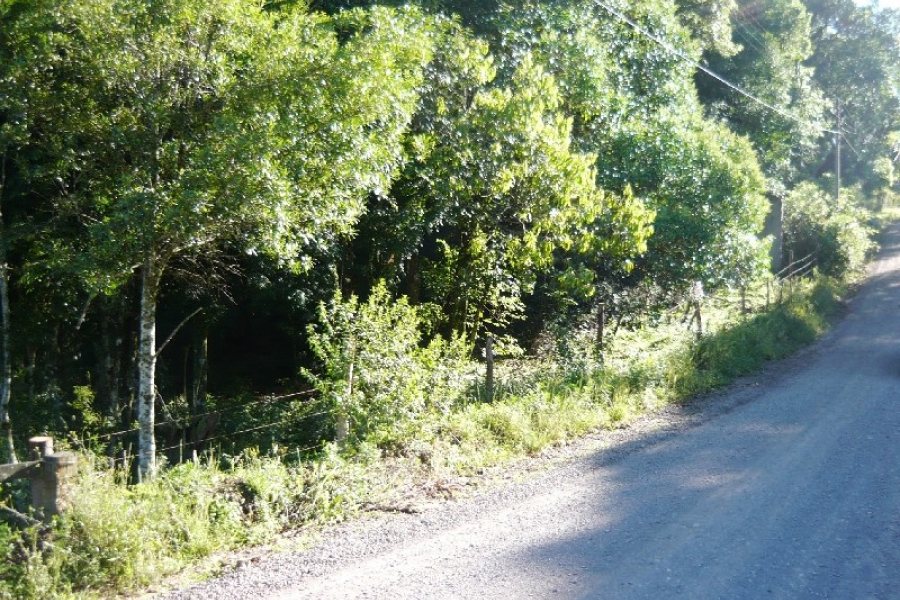 Chácara, no bairro Centro em Caxias do Sul para Comprar