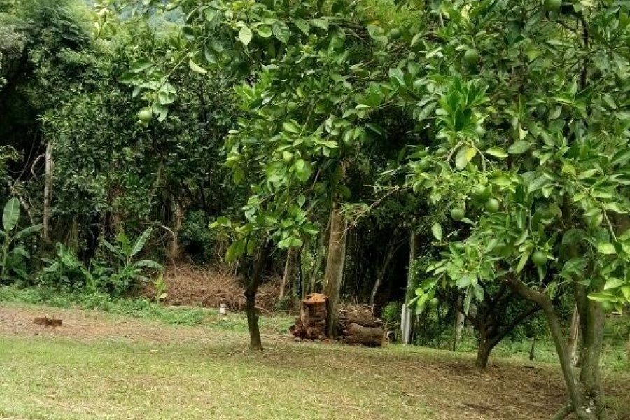 Chácara com 100m², 3 dormitórios, 1 vaga, no bairro Vila Cristina em Caxias do Sul para Comprar