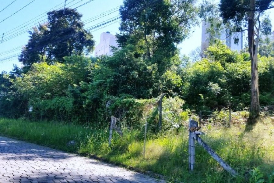 Terreno, no bairro Vila Verde em Caxias do Sul para Comprar