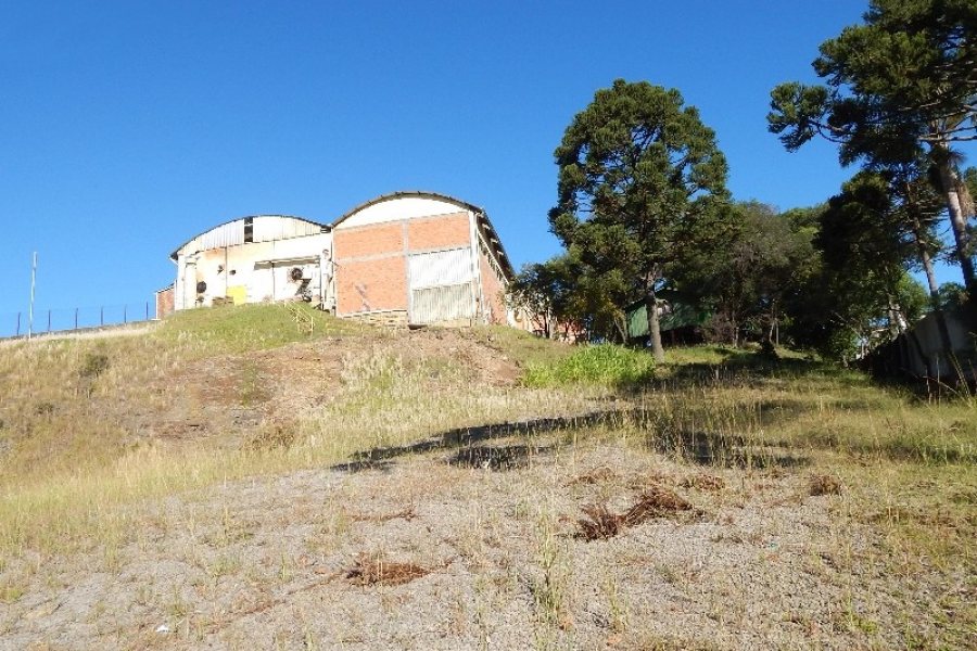 Loja com 1500m², no bairro Interlagos em Caxias do Sul para Alugar