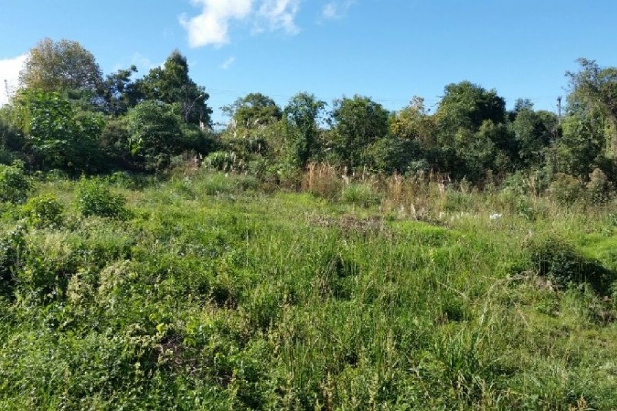 Terreno, no bairro Charqueadas em Caxias do Sul para Comprar