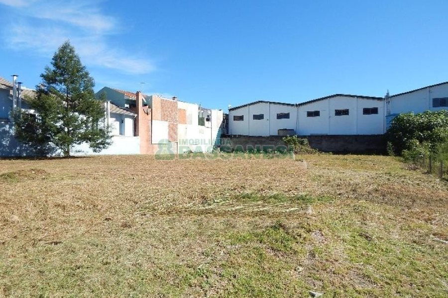 Terreno com 1250m², no bairro Bela Vista em Caxias do Sul para Alugar ou Comprar