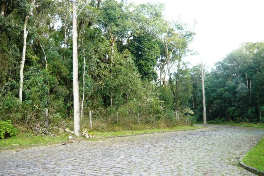 Terreno, no bairro Ana Rech em Caxias do Sul para Comprar