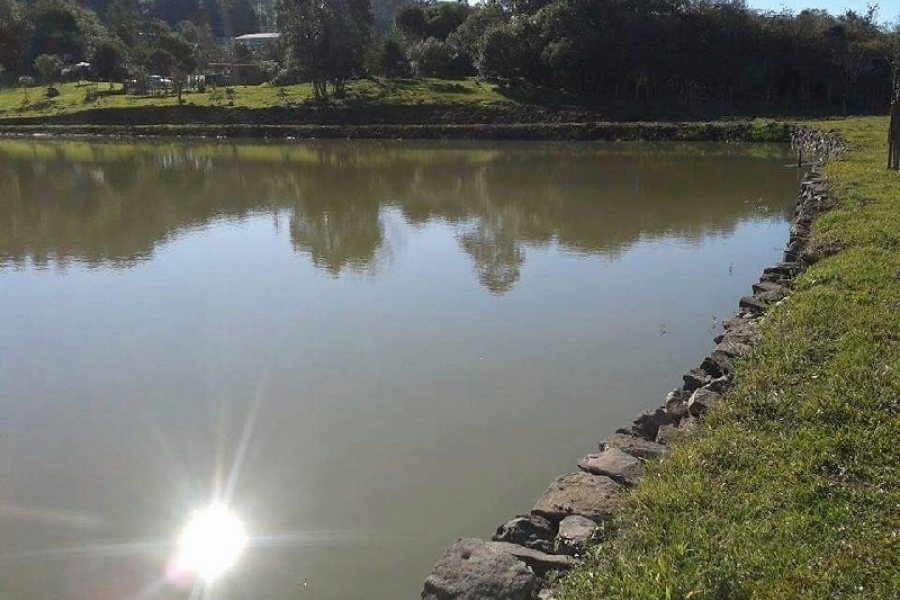 Chácara, no bairro Forqueta em Caxias do Sul para Comprar