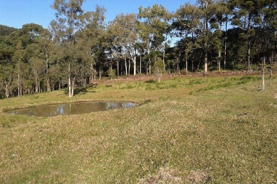Chácara, no bairro Forqueta em Caxias do Sul para Comprar