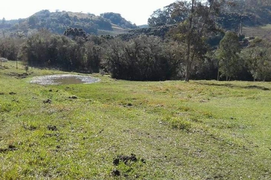Chácara, no bairro Forqueta em Caxias do Sul para Comprar