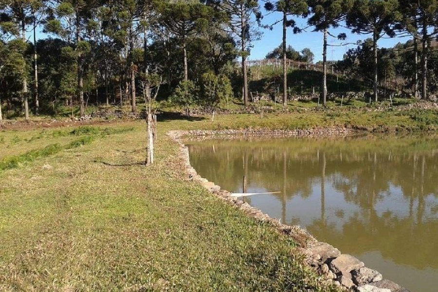 Chácara, no bairro Forqueta em Caxias do Sul para Comprar