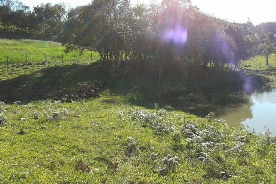 Chácara, no bairro Forqueta em Caxias do Sul para Comprar