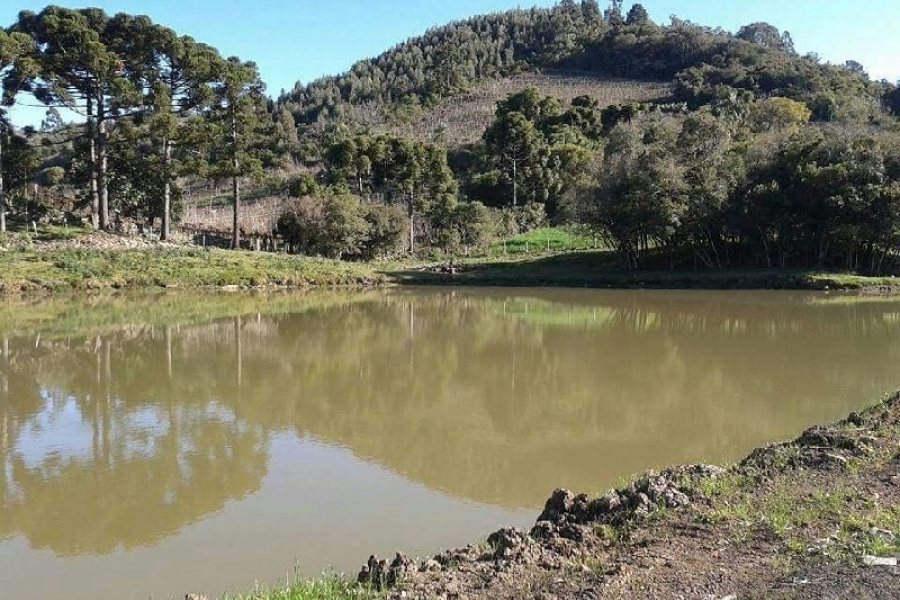 Chácara, no bairro Forqueta em Caxias do Sul para Comprar
