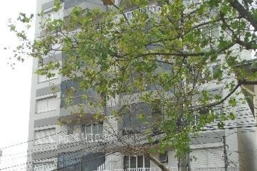 Apartamento com 87m², 2 dormitórios, 1 vaga, no bairro Rio Branco em Caxias do Sul para Alugar