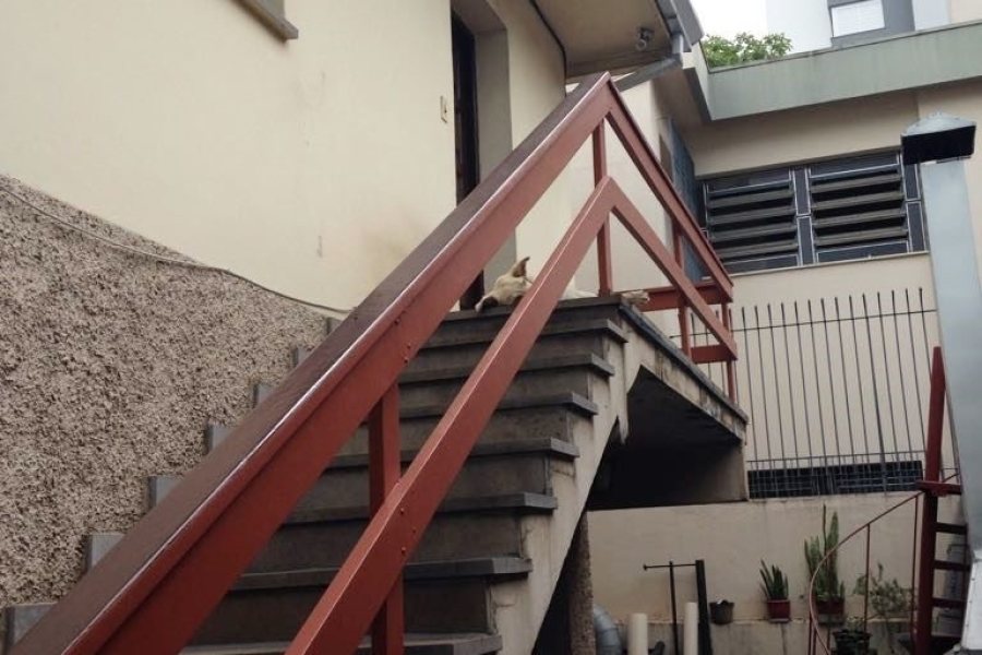 Casa com 156m², 3 dormitórios, 1 vaga, no bairro Panazzolo em Caxias do Sul para Comprar