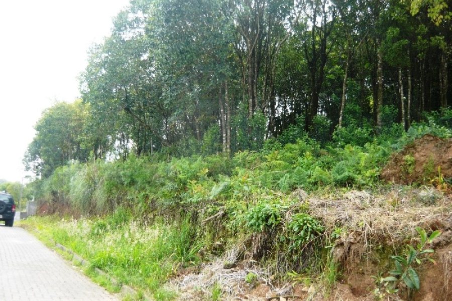 Terreno, no bairro São Gotardo em Caxias do Sul para Comprar