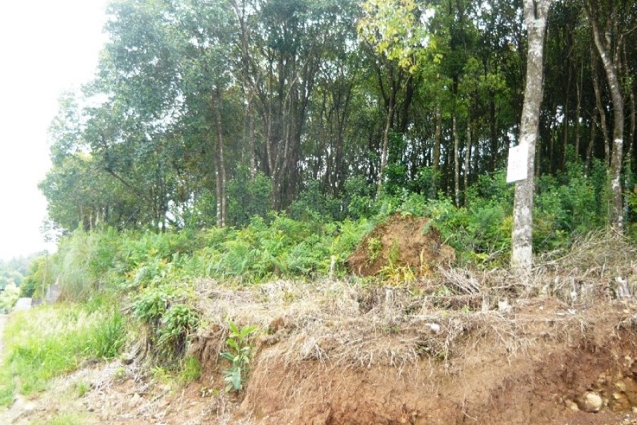 Terreno, no bairro São Gotardo em Caxias do Sul para Comprar