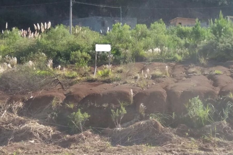 Terreno, no bairro Santa Catarina em Caxias do Sul para Comprar