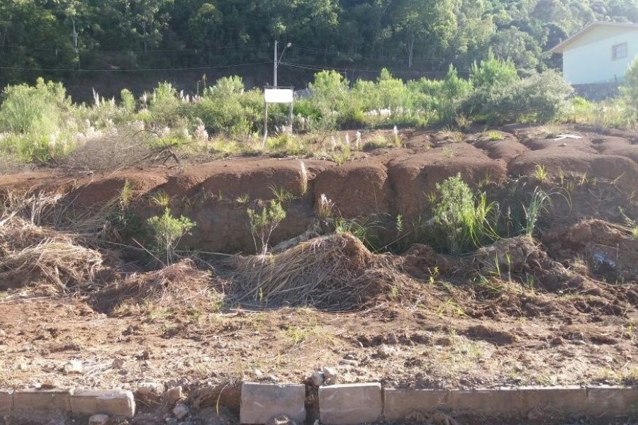 Terreno, no bairro Santa Catarina em Caxias do Sul para Comprar