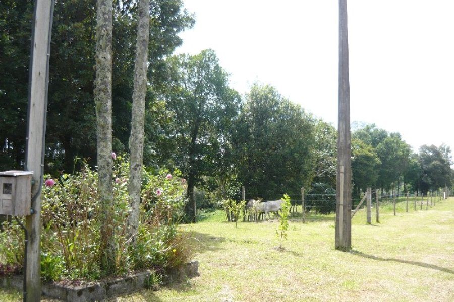 Chácara com 100m², 2 dormitórios, 1 vaga, no bairro Nossa Senhora da Saúde em Caxias do Sul para Comprar