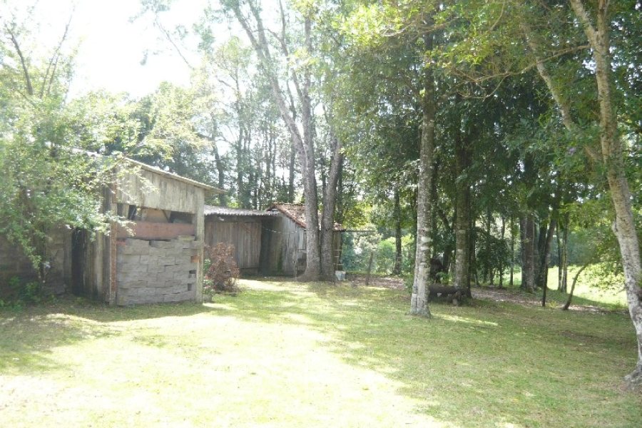 Chácara com 100m², 2 dormitórios, 1 vaga, no bairro Nossa Senhora da Saúde em Caxias do Sul para Comprar