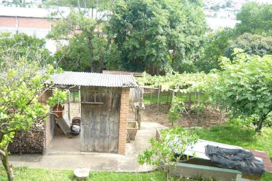 Terreno, no bairro São Leopoldo em Caxias do Sul para Comprar