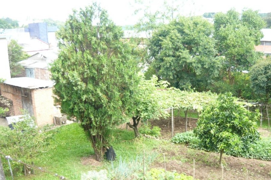 Terreno, no bairro São Leopoldo em Caxias do Sul para Comprar