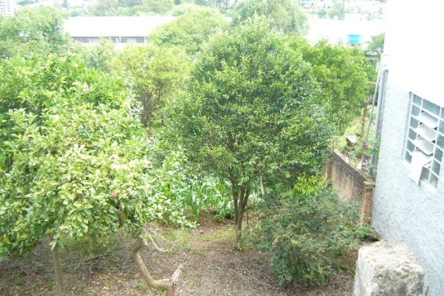 Terreno, no bairro São Leopoldo em Caxias do Sul para Comprar