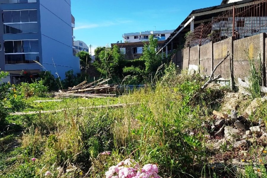Terreno, no bairro Rio Branco em Caxias do Sul para Comprar