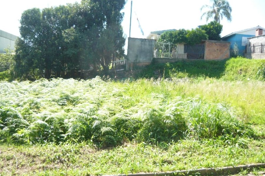 Terreno, no bairro São Caetano em Caxias do Sul para Comprar