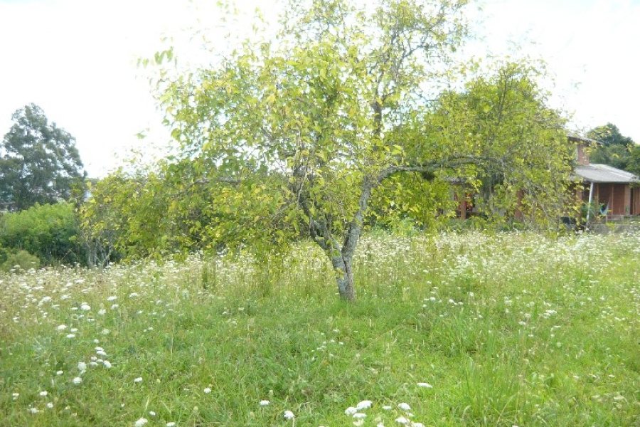 Terreno com 16680m², no bairro Santa Lúcia em Caxias do Sul para Comprar