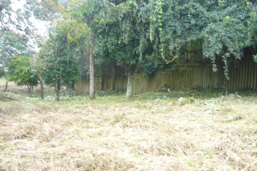 Terreno, no bairro Cruzeiro em Caxias do Sul para Comprar