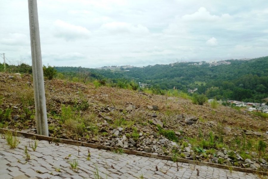 Terreno, no bairro Parque Santa Rita em Caxias do Sul para Comprar