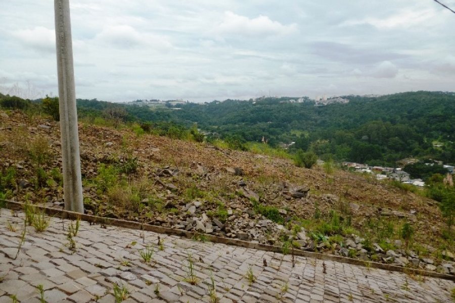 Terreno, no bairro Parque Santa Rita em Caxias do Sul para Comprar