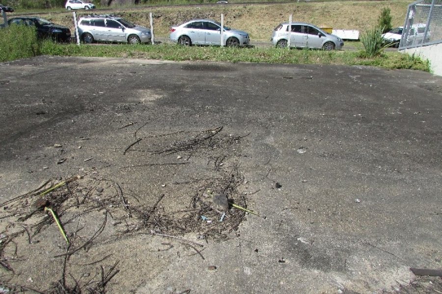 Terreno com 2520m², no bairro Cinqüentenário em Caxias do Sul para Alugar