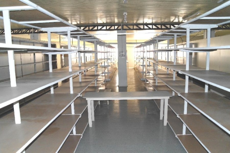 Pavilhão com 1275m², no bairro Forqueta em Caxias do Sul para Alugar ou Comprar