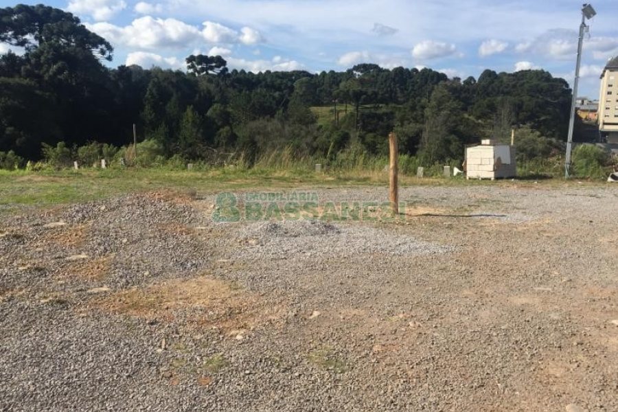 Pavilhão com 270m², no bairro Interlagos em Caxias do Sul para Comprar