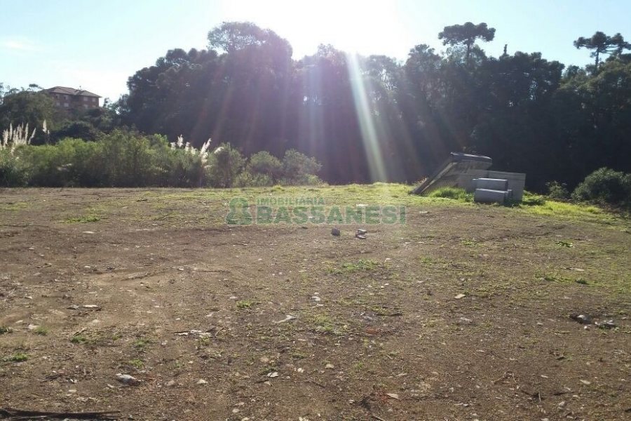 Pavilhão com 270m², no bairro Interlagos em Caxias do Sul para Comprar