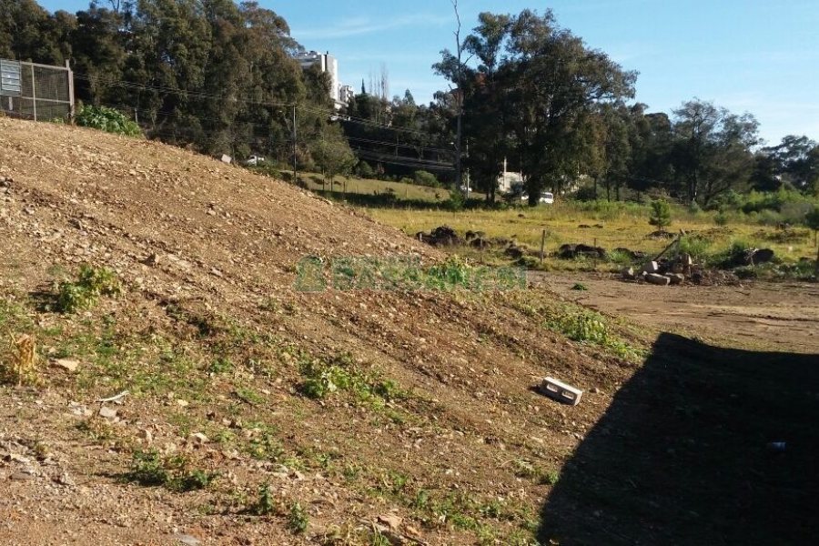 Pavilhão com 270m², no bairro Interlagos em Caxias do Sul para Comprar