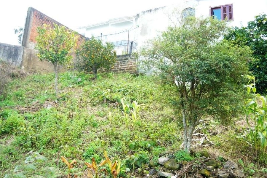 Casa com 168m², 3 dormitórios, 1 vaga, no bairro Colina Sorriso em Caxias do Sul para Comprar