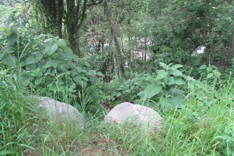 Terreno, no bairro Salgado Filho em Caxias do Sul para Comprar
