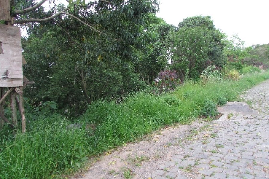 Terreno, no bairro Salgado Filho em Caxias do Sul para Comprar