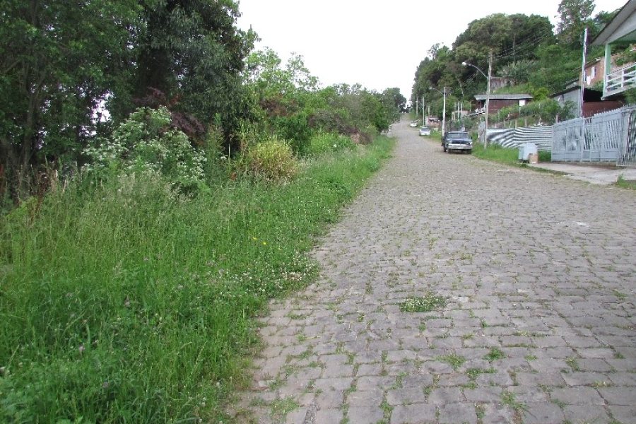 Terreno, no bairro Salgado Filho em Caxias do Sul para Comprar