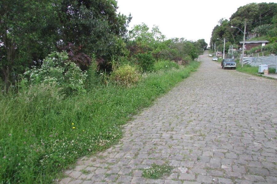 Terreno, no bairro Salgado Filho em Caxias do Sul para Comprar