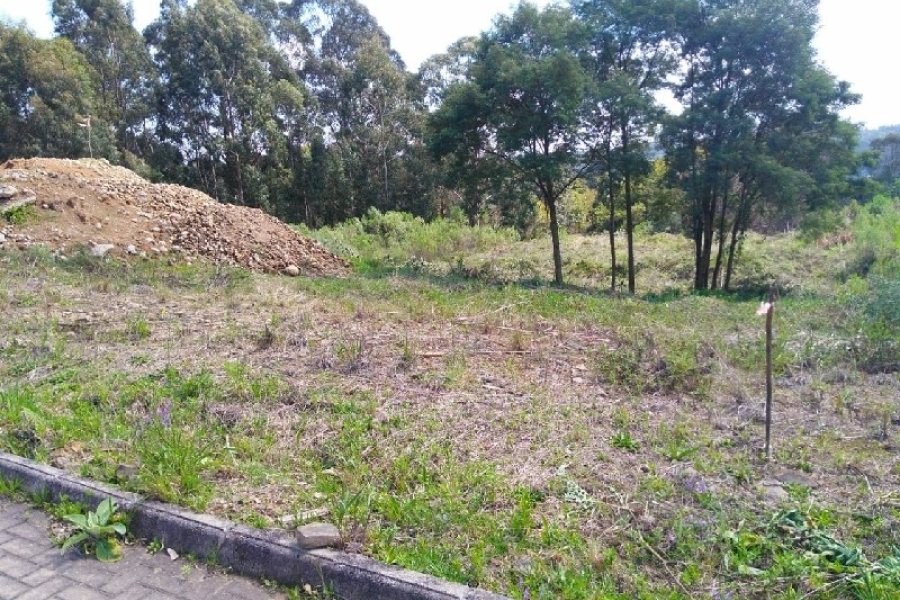 Terreno, no bairro São Ciro em Caxias do Sul para Comprar