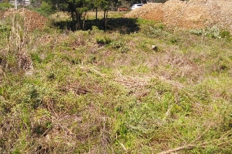 Terreno, no bairro São Ciro em Caxias do Sul para Comprar