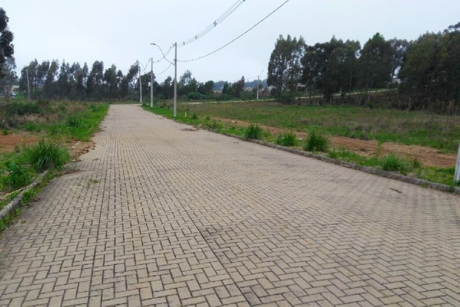 Terreno, no bairro São Ciro em Caxias do Sul para Comprar