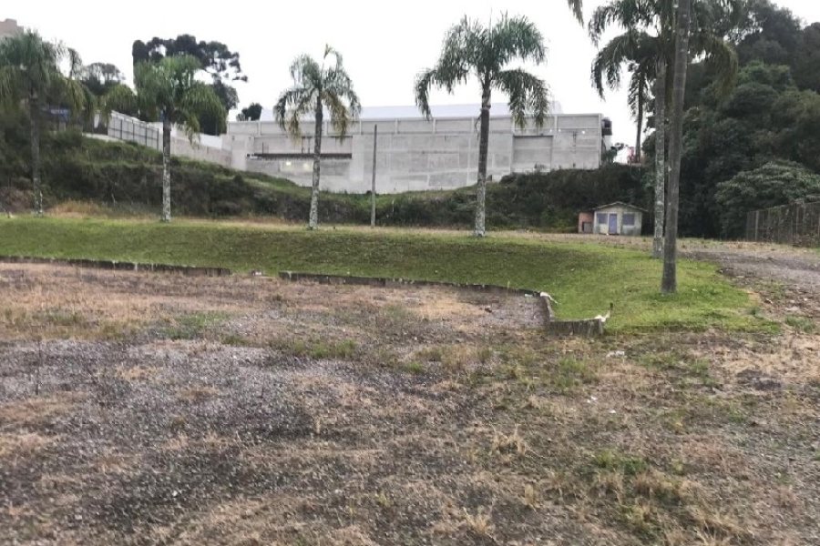 Terreno com 7000m², no bairro São Leopoldo em Caxias do Sul para Alugar