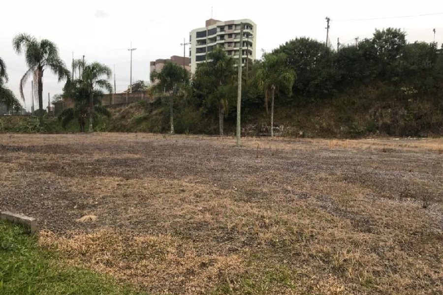 Terreno com 7000m², no bairro São Leopoldo em Caxias do Sul para Alugar
