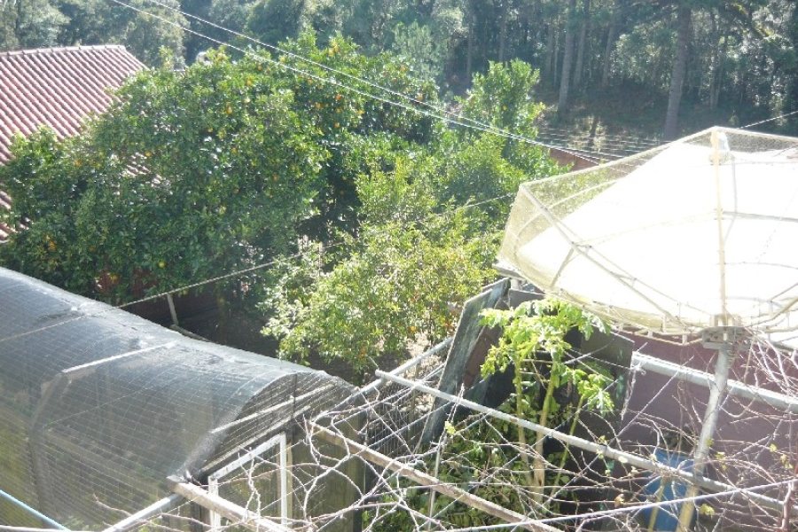 Casa com 234m², 3 dormitórios, 3 vagas, no bairro Serrano em Caxias do Sul para Comprar