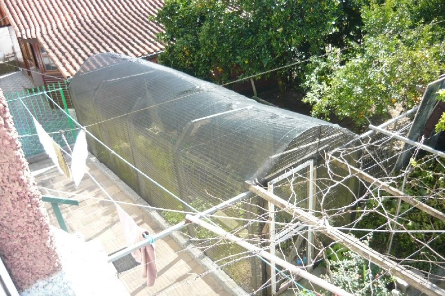 Casa com 234m², 3 dormitórios, 3 vagas, no bairro Serrano em Caxias do Sul para Comprar