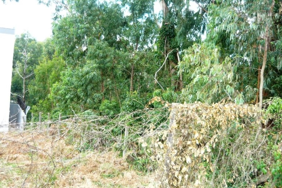 Terreno com 405m², no bairro Sanvitto em Caxias do Sul para Comprar