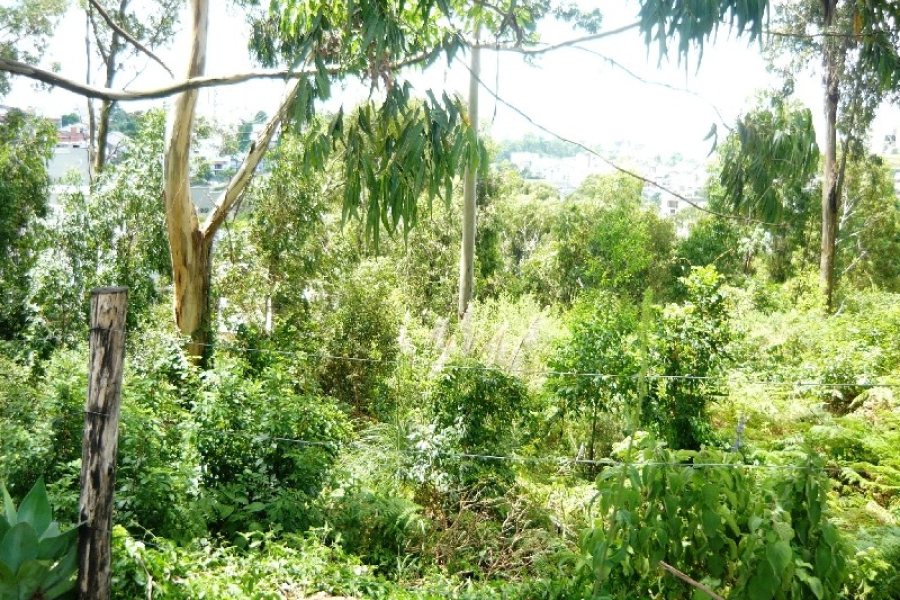 Terreno com 405m², no bairro Sanvitto em Caxias do Sul para Comprar