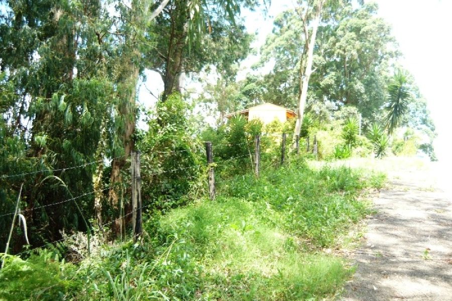 Terreno com 405m², no bairro Sanvitto em Caxias do Sul para Comprar